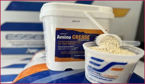 Unlock Unbeatable Deals And Insights On Goat Products